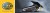 e4c15fc02bdb52b5e964bd412270f82e