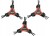 cf50815931bcc4c9b1ce29bb4775ab2c